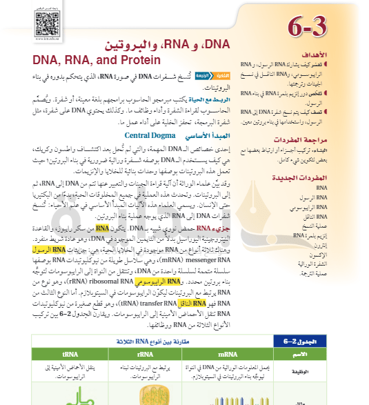 حل درس DNA , RNA , والبروتين الأحياء 2 ثاني ثانوي ف3