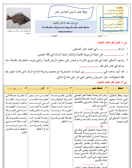 ورقة عمل درس طرق حفظ الأحافير و أهميتها نموذج 2 علم الأرض والفضاء ثالث ثانوي