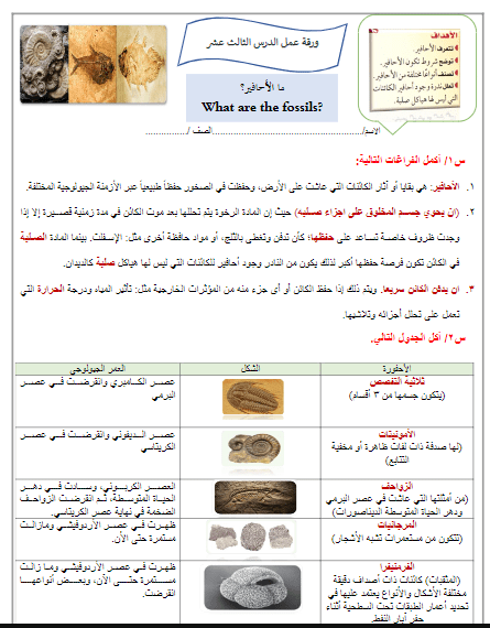 ورقة عمل درس ما الأحافير محلول علم الأرض والفضاء ثالث ثانوي أ. عبد المجيد النخلي