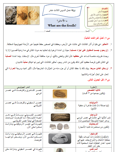 ورقة عمل درس ما الأحافير محلول علم الأرض والفضاء ثالث ثانوي