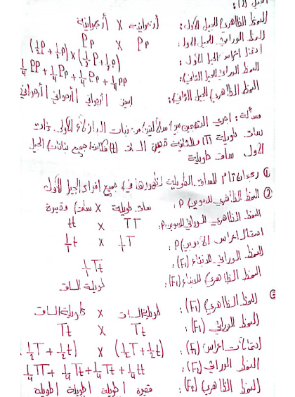 دكتور.  حل كامل لدرجة التراث من عادل جاسر، المرحلة الجامعية، المنهج السوري