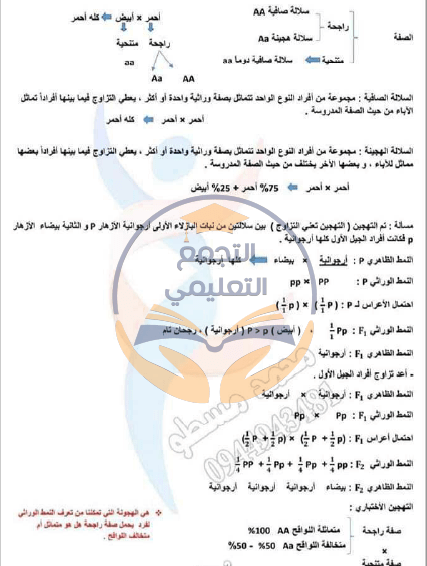 السعادة المكثفة اللغة العربية التاسع 2024 منهاج سوريا