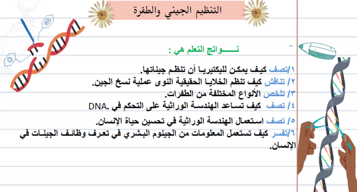 ملخص تنظيم الجينات والطفرة الثانوية