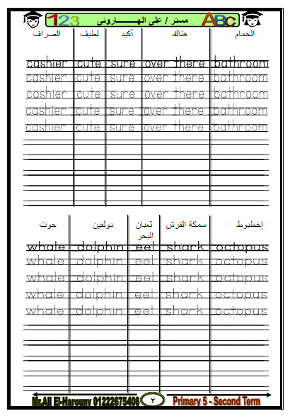 دورة تطوير الخط - اللغة الإنجليزية