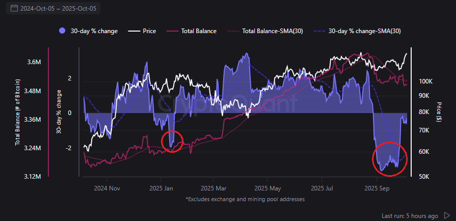 نشاط حوت البيتكوين (BTC)