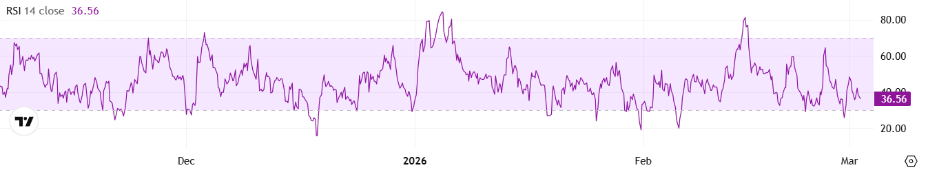 شيب مؤشر القوة النسبية